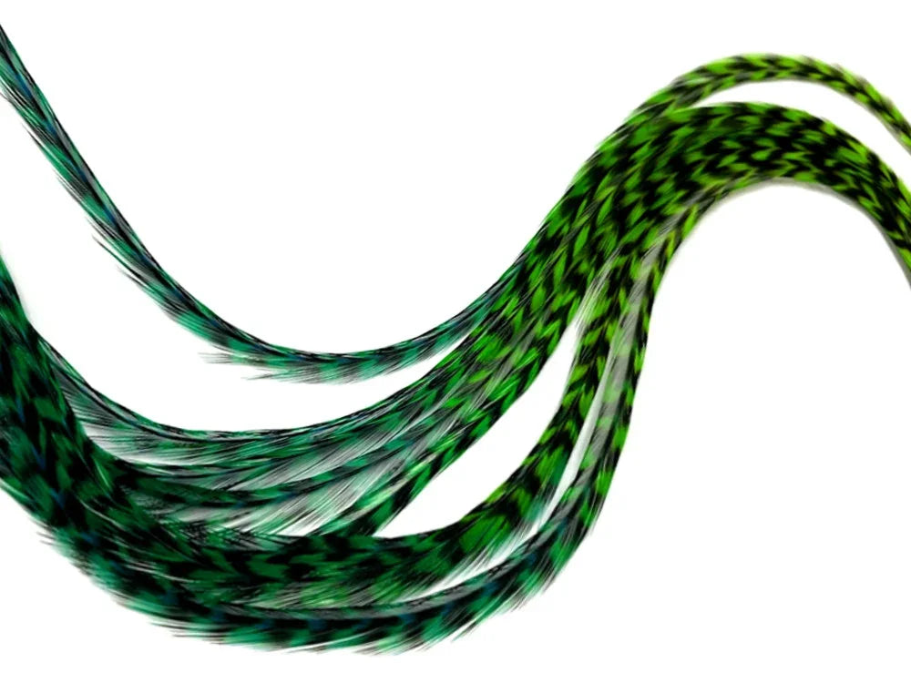 Vibrant green and black patterned feathers for DIY crafts and fashion decor.