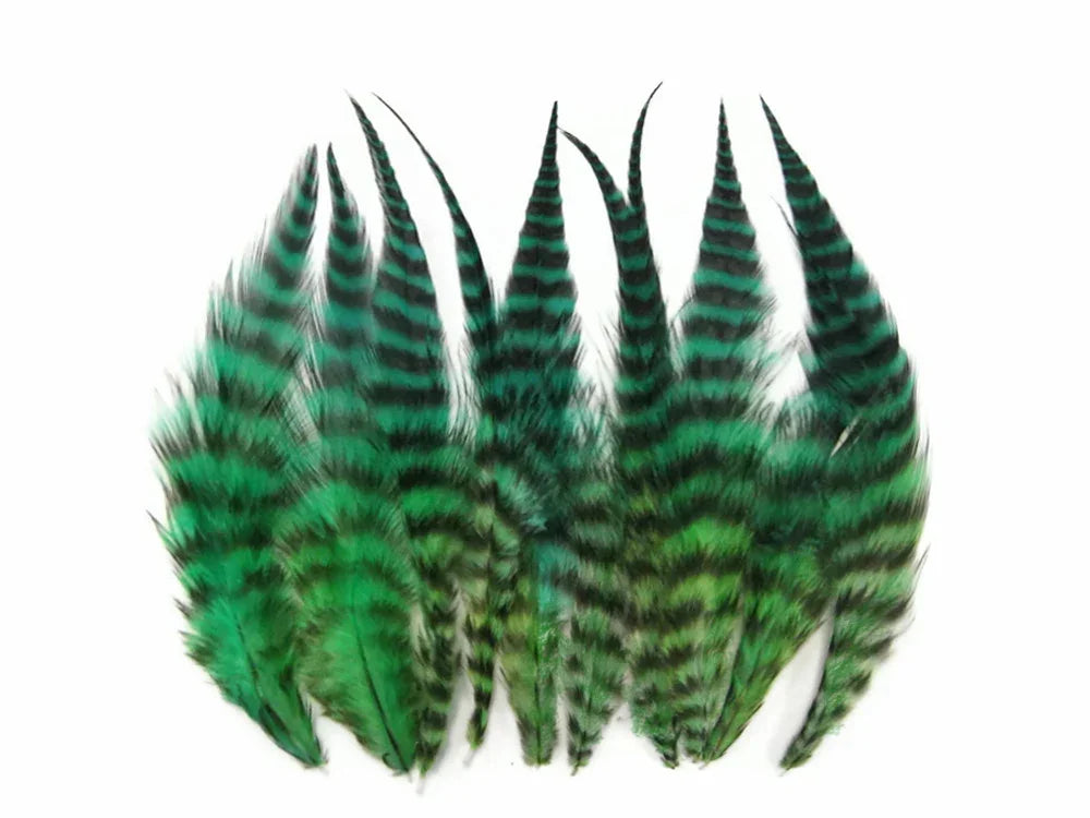 Vibrant green and black striped craft feathers for DIY fashion and décor accessories.