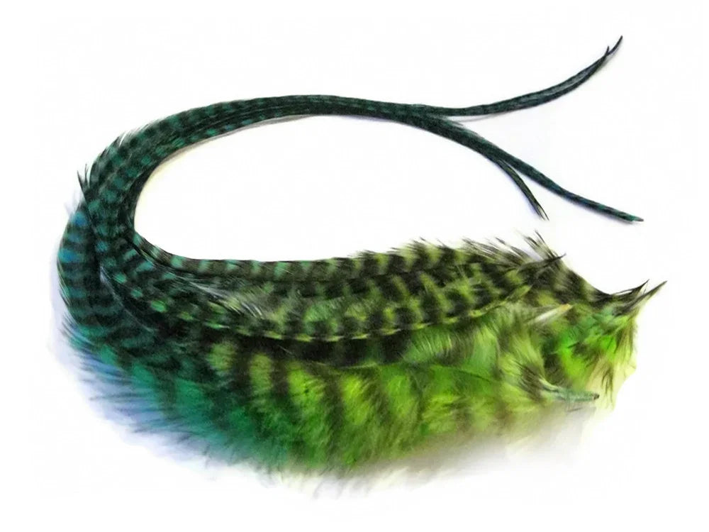 Iridescent green and black patterned pheasant feathers for DIY crafts and fashion decor.