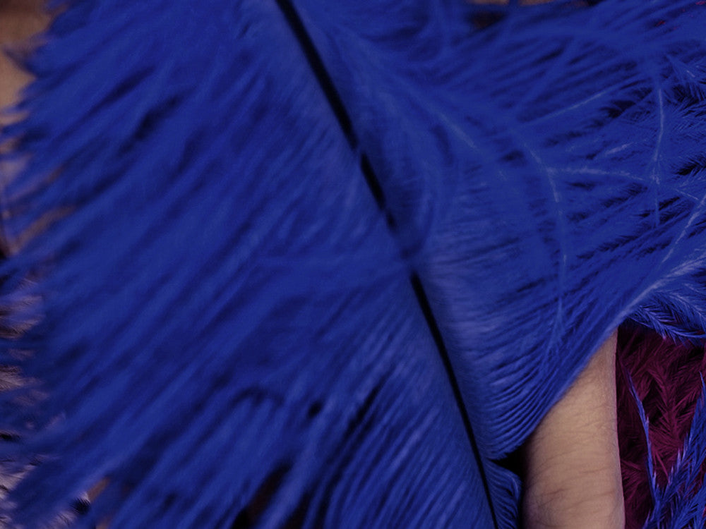 10 Pieces - 17-19" Royal Blue Large Bleached & Dyed Ostrich Drabs Body Feathers