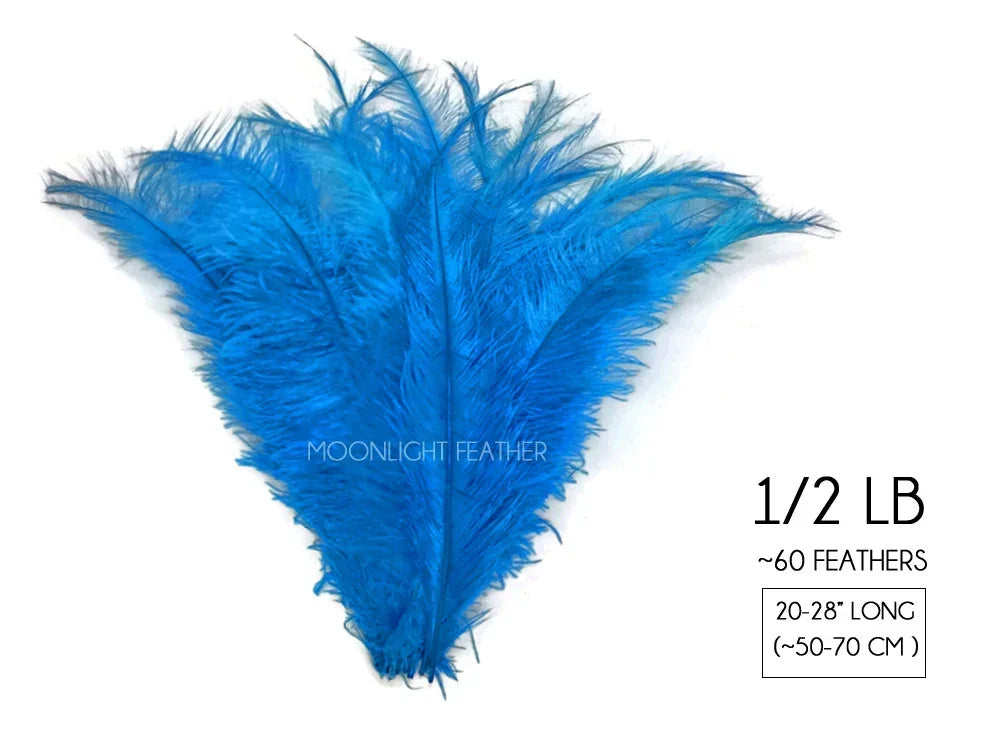 Bundle of 60 vibrant blue ostrich feathers, 20-28 inches long, for crafts and fashion decor.