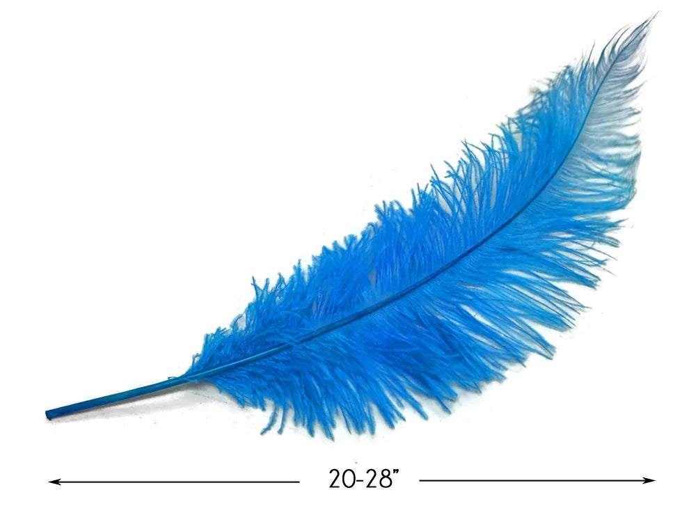 Vibrant blue ostrich feather for crafts and fashion decor, 20-28 inches long.