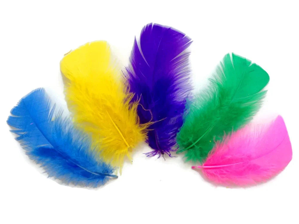 Five vibrant colorful feathers in blue, yellow, purple, green, and pink for DIY crafts.