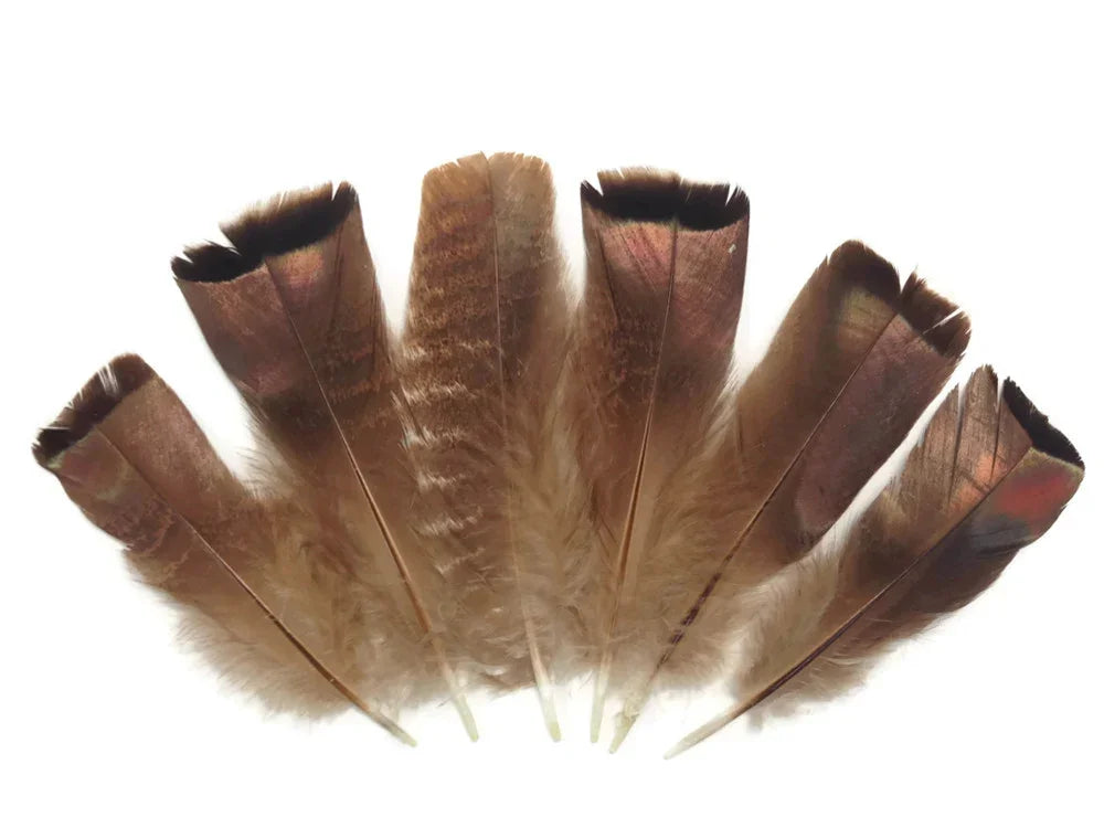 Natural brown patterned feathers for DIY crafts and fashion accessories on a white background.