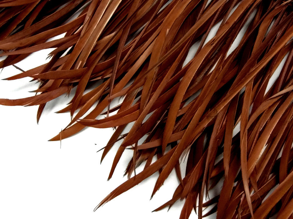 1 Yard - Brown Goose Biots Stripped Wing Wholesale Feather Trim