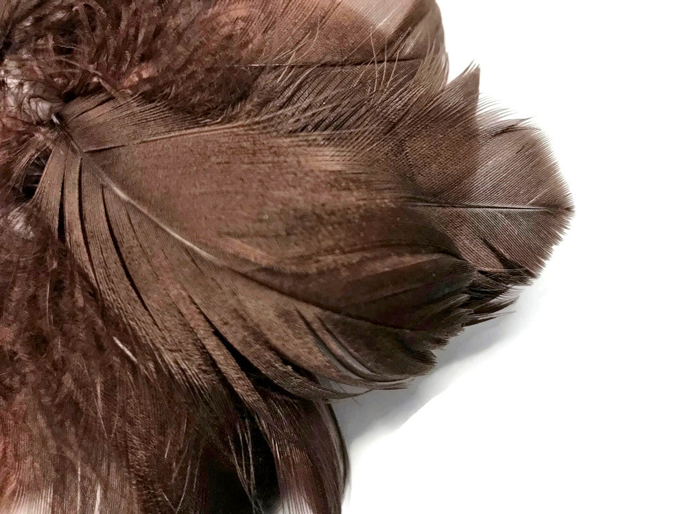 1/4 Lb - 2-3" Brown Goose Coquille Loose Wholesale Feathers (Bulk)