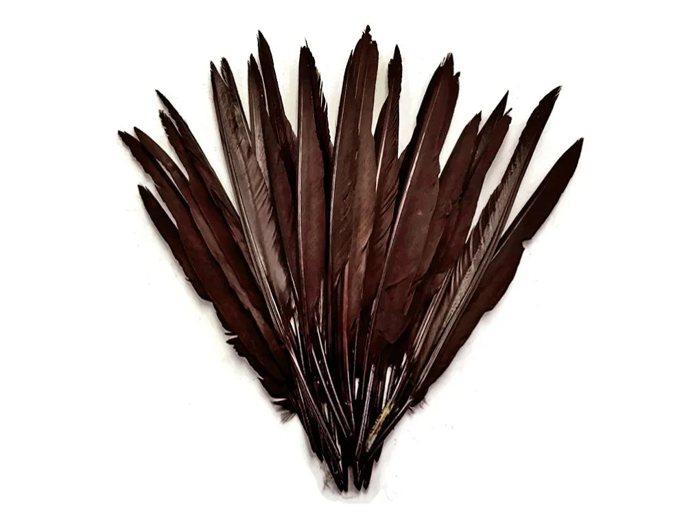 Dark brown natural feathers for DIY crafts and fashion accessories on white background