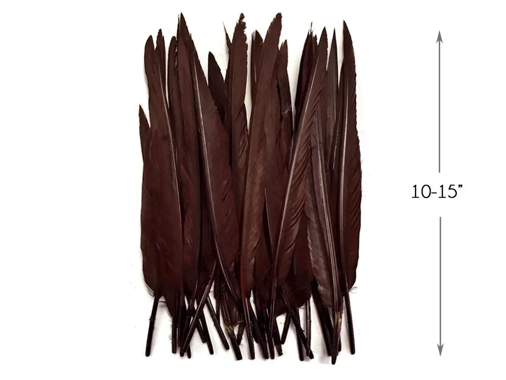 Bundle of long dark brown feathers for crafts and DIY decor, 10-15 inches in length.
