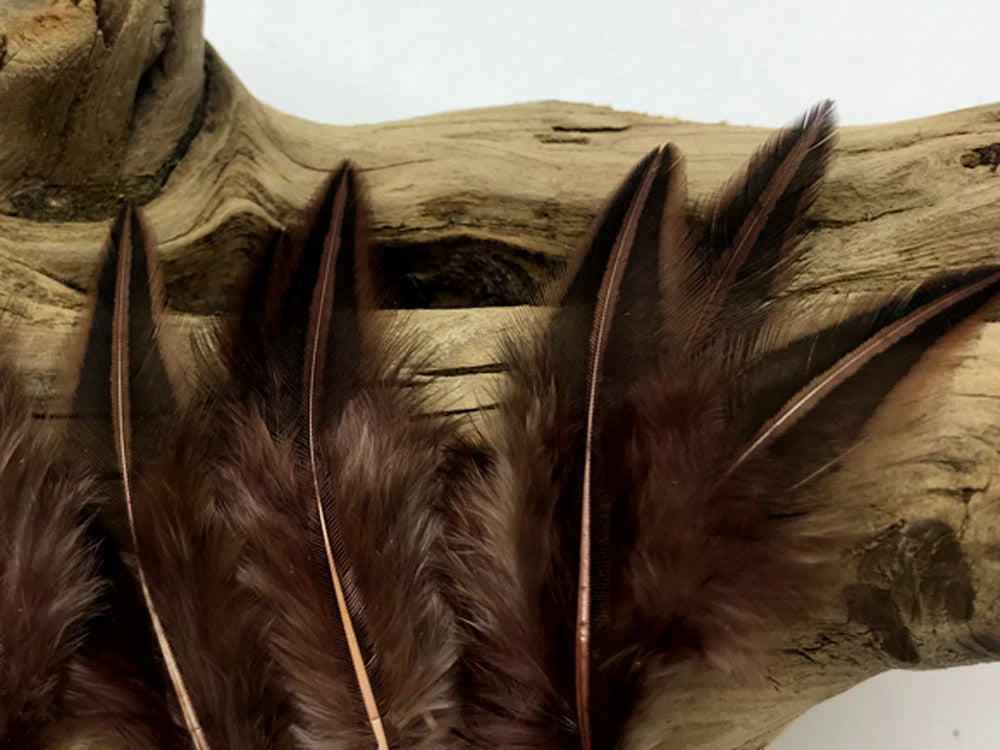10 Pieces - Brown Jungle Cock Loose Plumage Feather