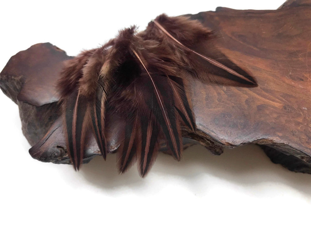 10 Pieces - Brown Jungle Cock Loose Plumage Feather