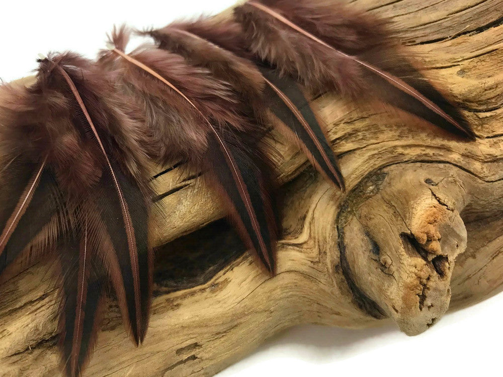 10 Pieces - Brown Jungle Cock Loose Plumage Feather
