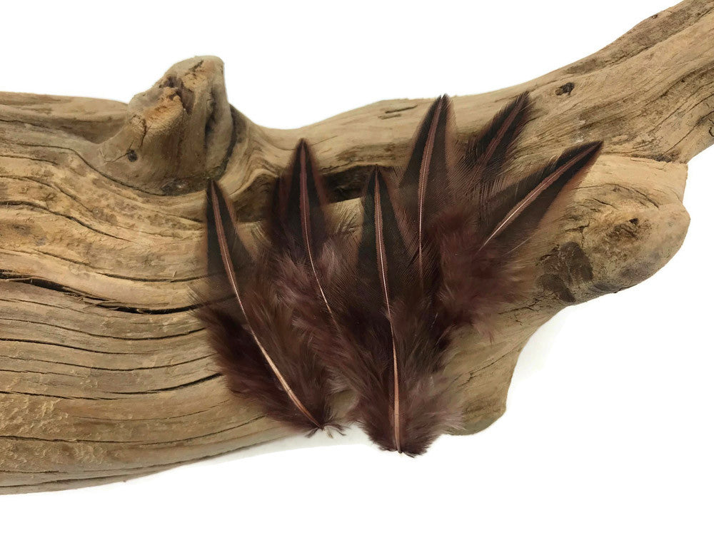 10 Pieces - Brown Jungle Cock Loose Plumage Feather