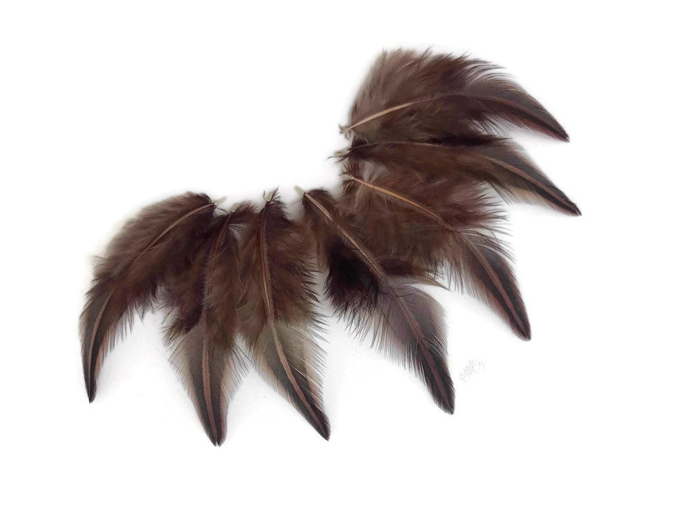 10 Pieces - Brown Jungle Cock Loose Plumage Feather
