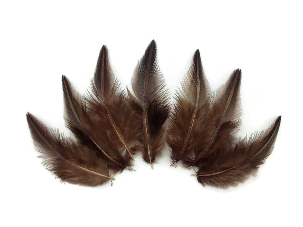 10 Pieces - Brown Jungle Cock Loose Plumage Feather