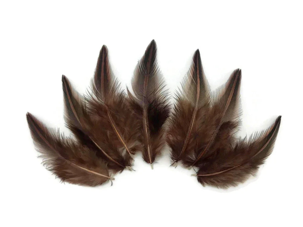 Natural brown feathers for DIY crafts and fashion décor on a white background.