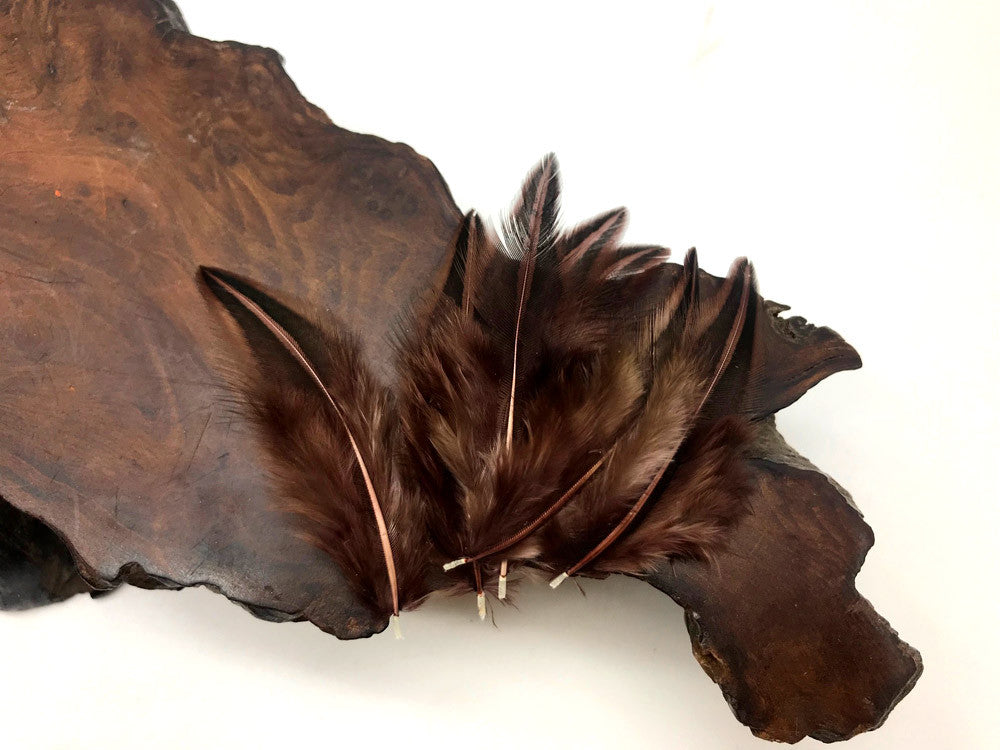 10 Pieces - Brown Jungle Cock Loose Plumage Feather