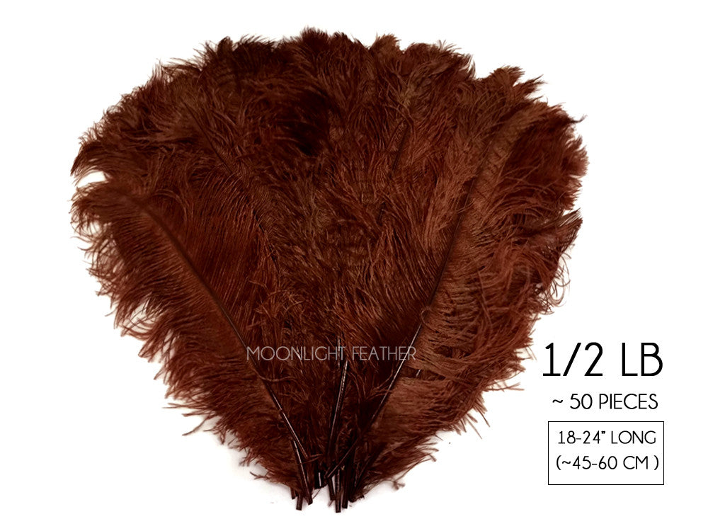 1/2 Lb. - 18-24" Brown Large Ostrich Wing Plume Wholesale Feathers (Bulk)