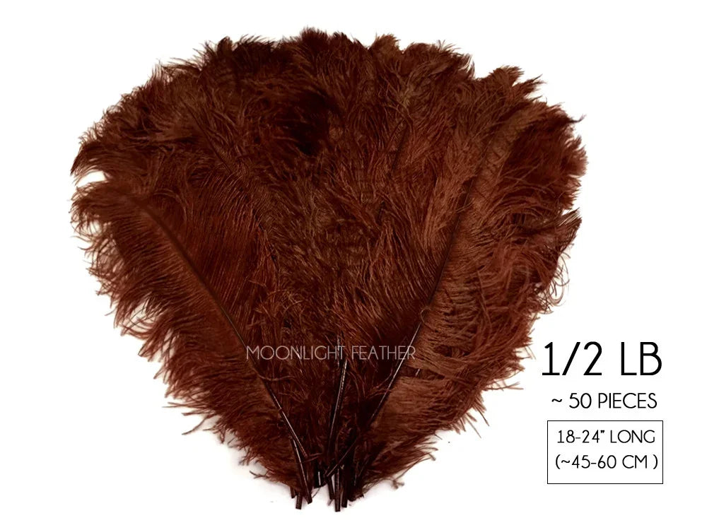 1/2 lb of brown ostrich feathers, approximately 50 pieces, 18-24 inches long.
