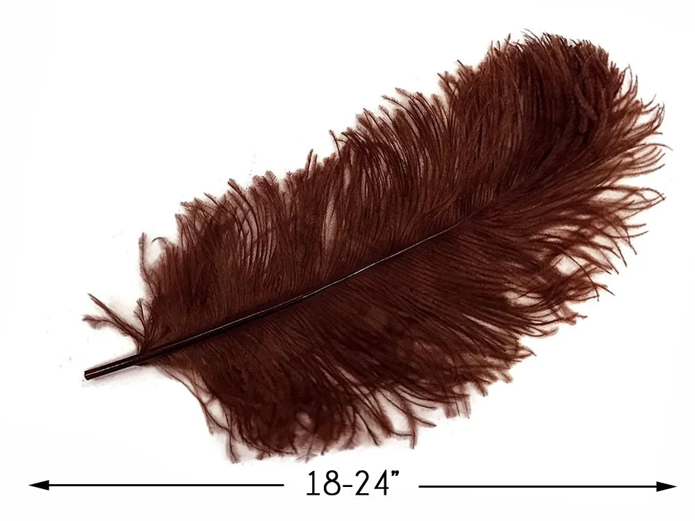 Large brown ostrich feather for crafts and fashion decor, 18-24 inches long.