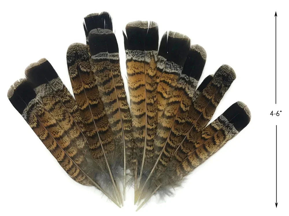 Natural patterned brown and black feathers for crafts and DIY decor, 4-6 inches long.