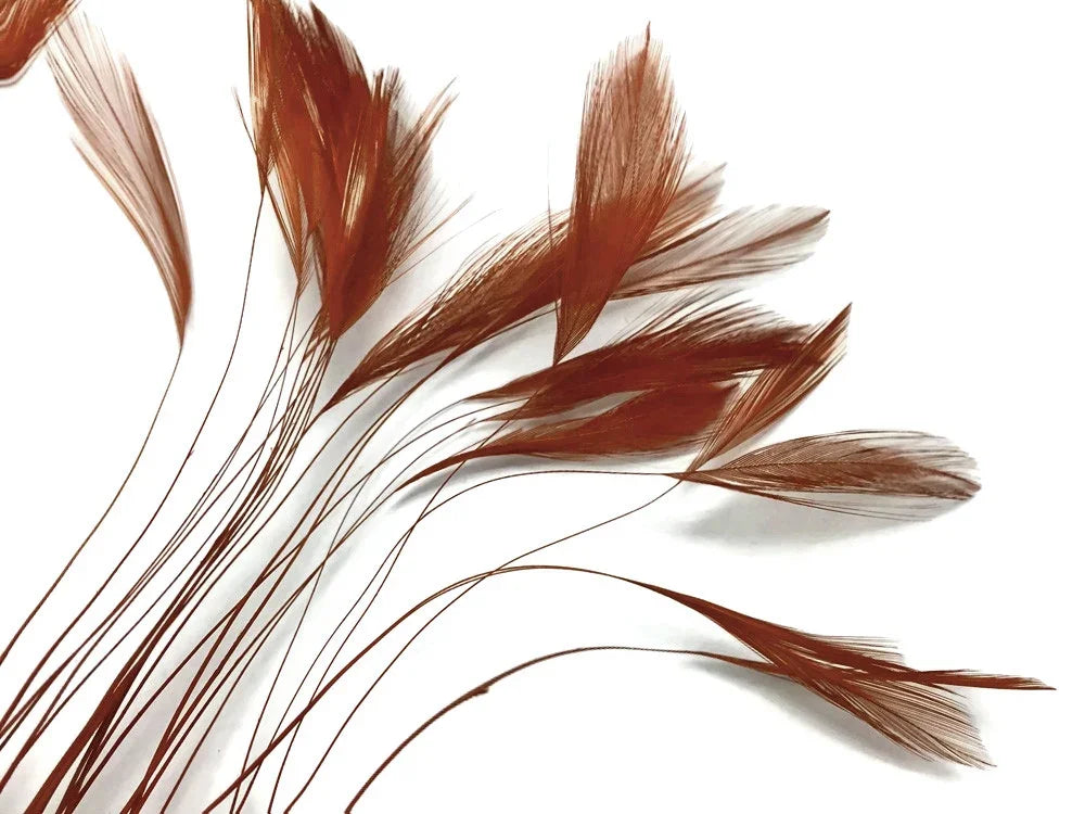 Natural reddish-brown feathers on long stems for DIY crafts and fashion decor.