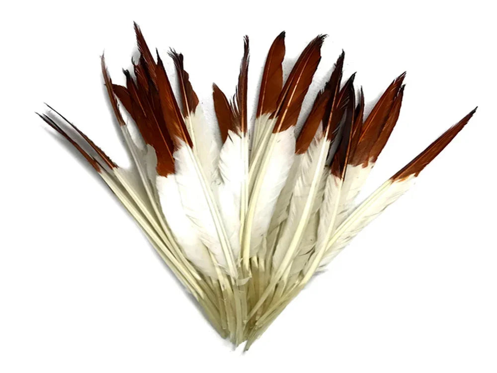 1 Pack - Brown Tipped Duck Primary Wing Pointer Feathers 0.50 Oz.