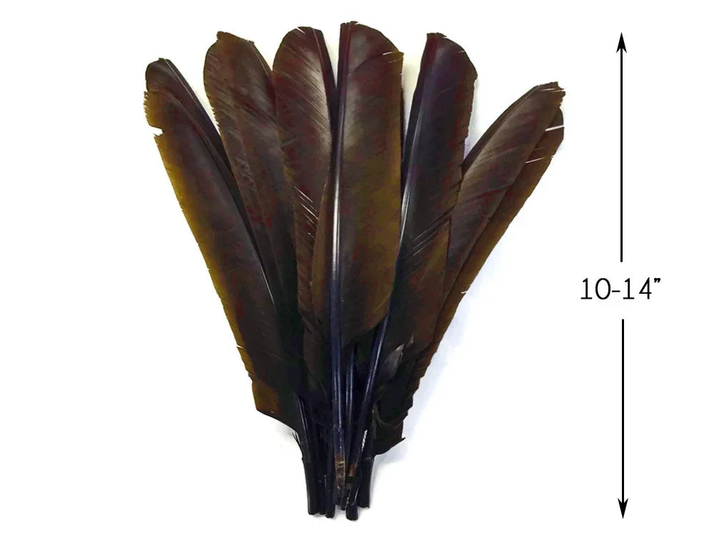 Bundle of large dark brown feathers for crafts and fashion, 10-14 inches long.