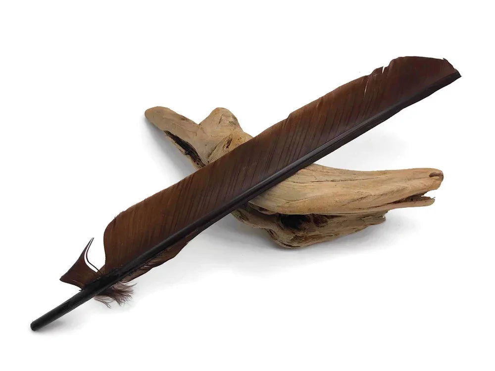 Large brown natural feather resting on a piece of rustic driftwood against a white background.