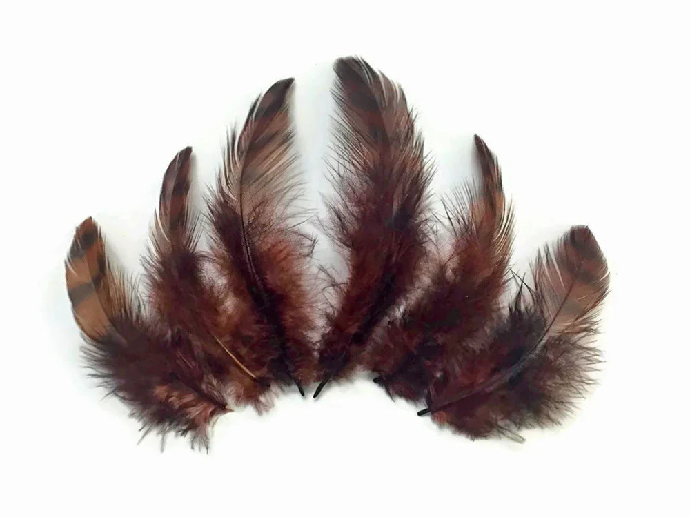 Set of natural brown striped feathers for DIY crafts and fashion décor.