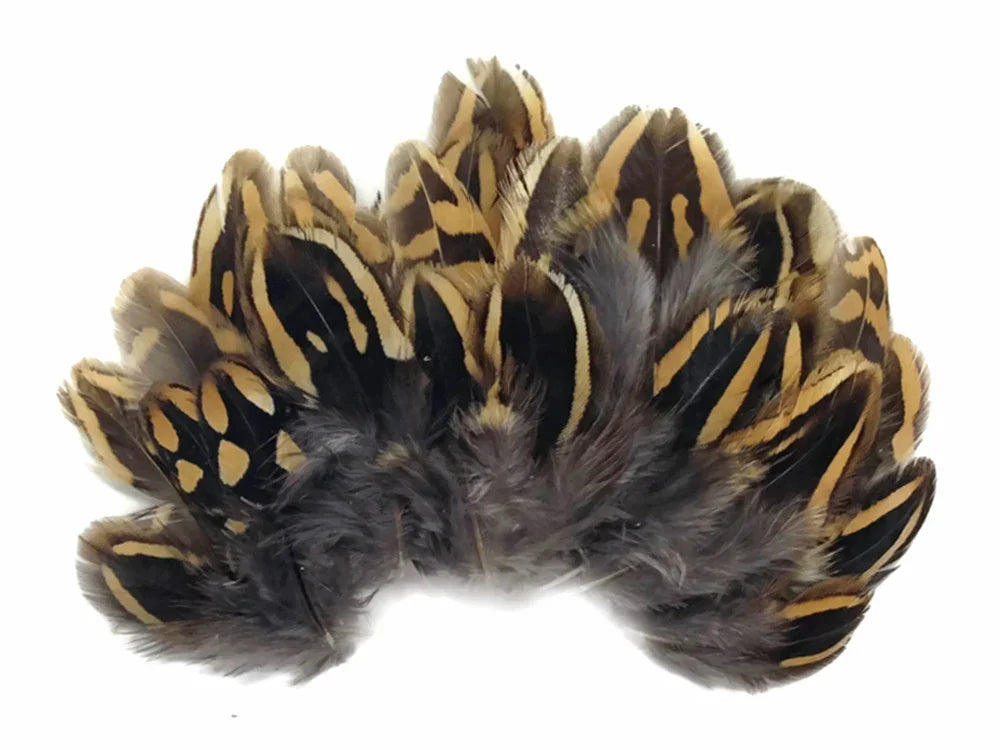 Natural brown and tan patterned feathers for DIY crafts and fashion decor.
