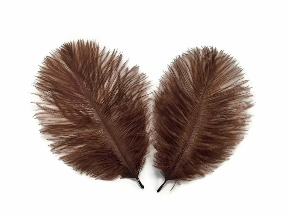 Two soft brown ostrich feathers for DIY crafts and fashion decor on a white background.