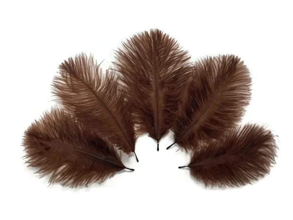 Set of five natural brown feathers for DIY crafts and fashion accessories.