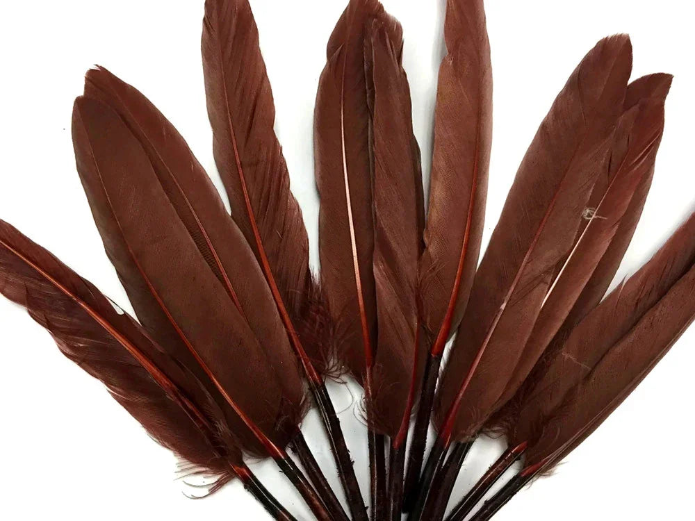 Natural reddish-brown craft feathers arranged in a fan shape on a white background.