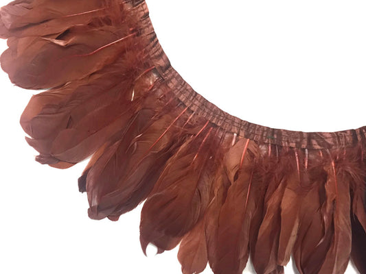 1 Yard - Brown Goose Pallet Parried Dyed Feather Trim