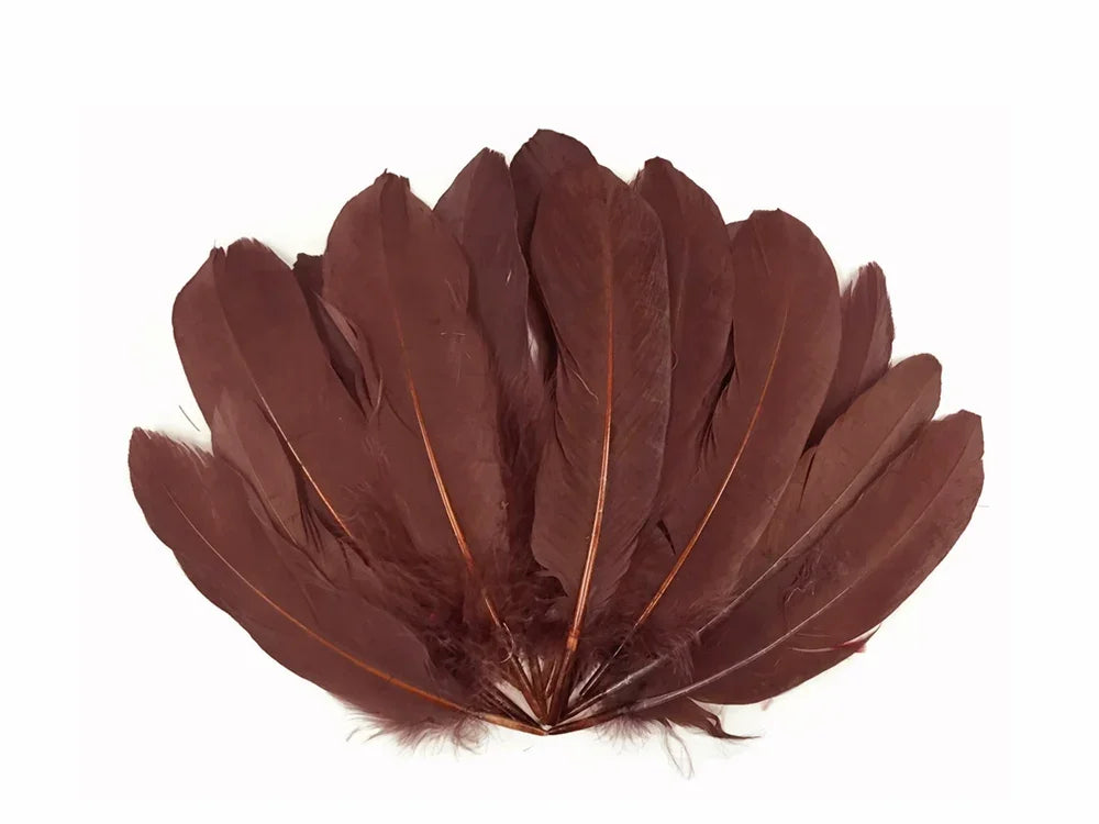1 Pack - Brown Goose Satinettes Pallet Soft Wing Quill Loose Feathers - 0.3 Oz