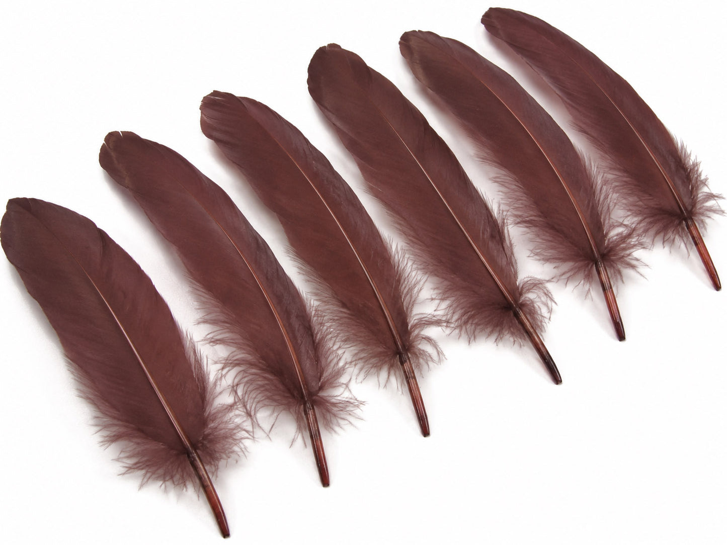 1/4 lbs. - Brown Goose Satinettes Pallet Soft Wing Quill Wholesale Feathers (Bulk)