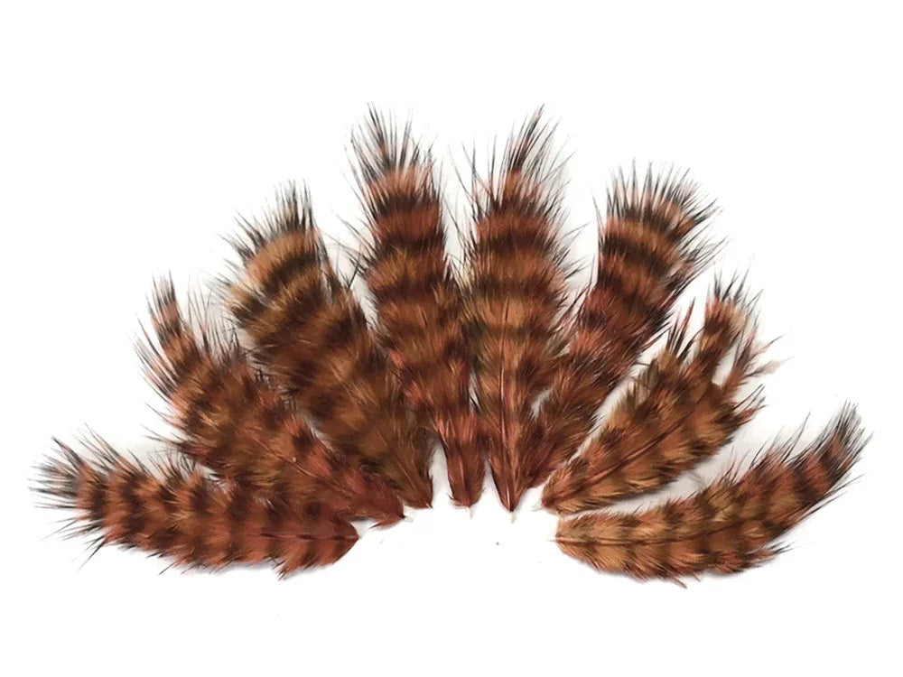 Striped brown and tan pheasant feathers for DIY crafts and fashion decor.