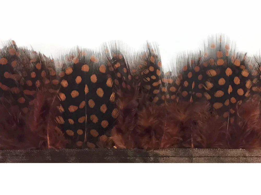 Spotted brown feathers with orange patterns for DIY crafts and fashion decor.