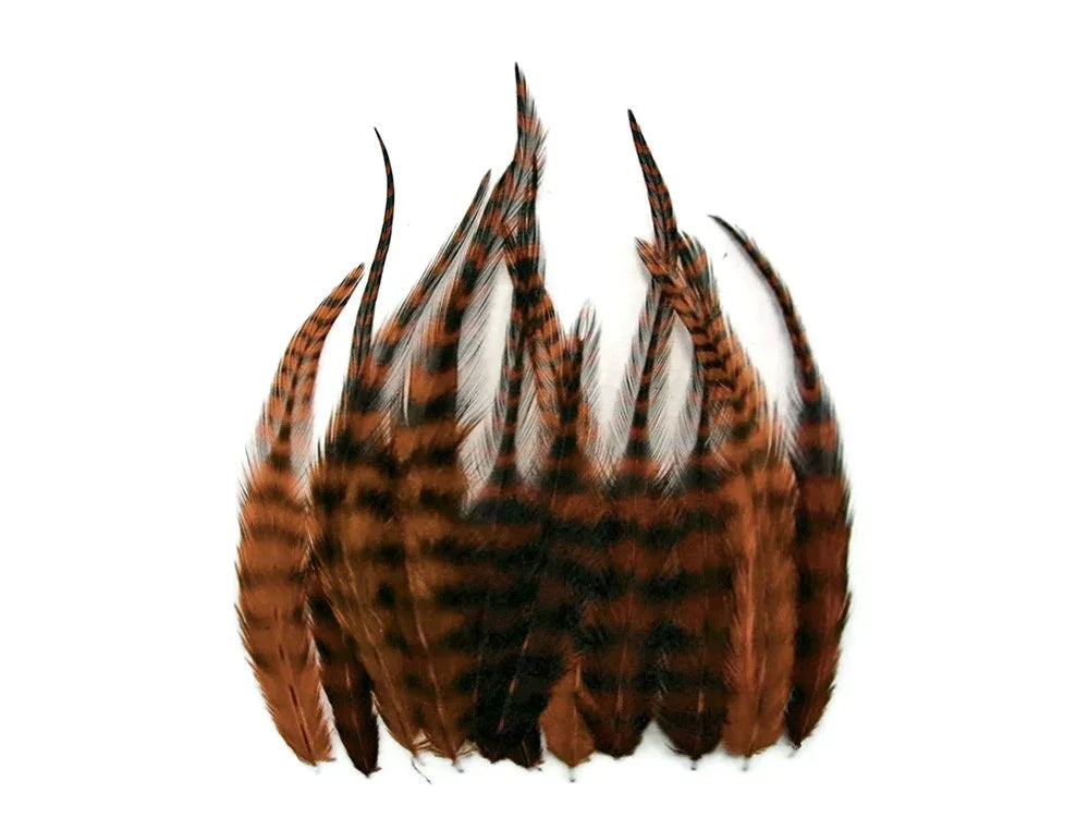 Brown and black striped pheasant feathers for crafts and fashion on a white background