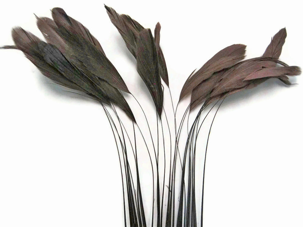 1 Yard - Brown Stripped Coque Tail Feathers Wholesale Trim (Bulk)