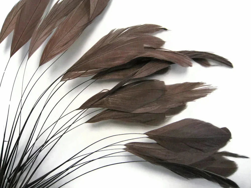 Natural brown feathers with long stems for DIY crafts and fashion accessories.