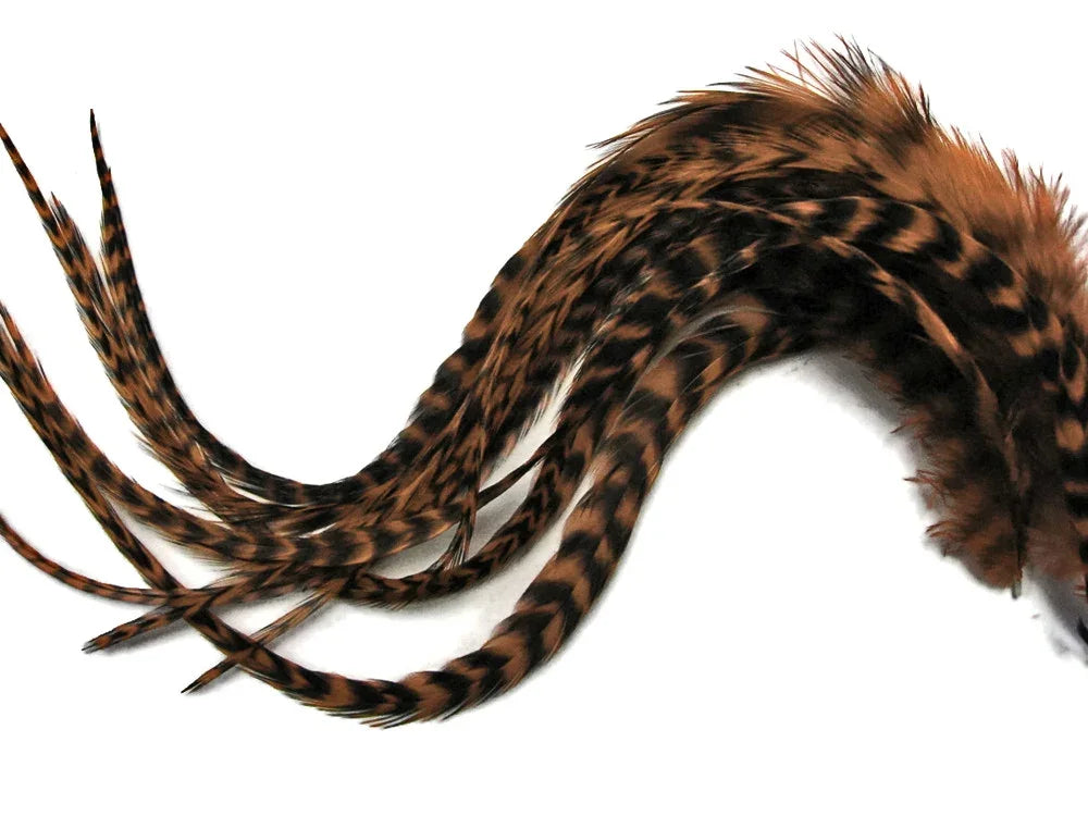 Brown and black speckled pheasant feathers for DIY crafts and fashion decor.