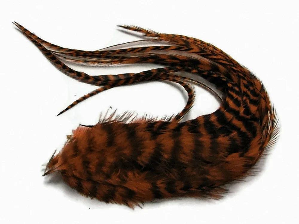Natural brown and black patterned feathers for craft and fashion DIY supplies.