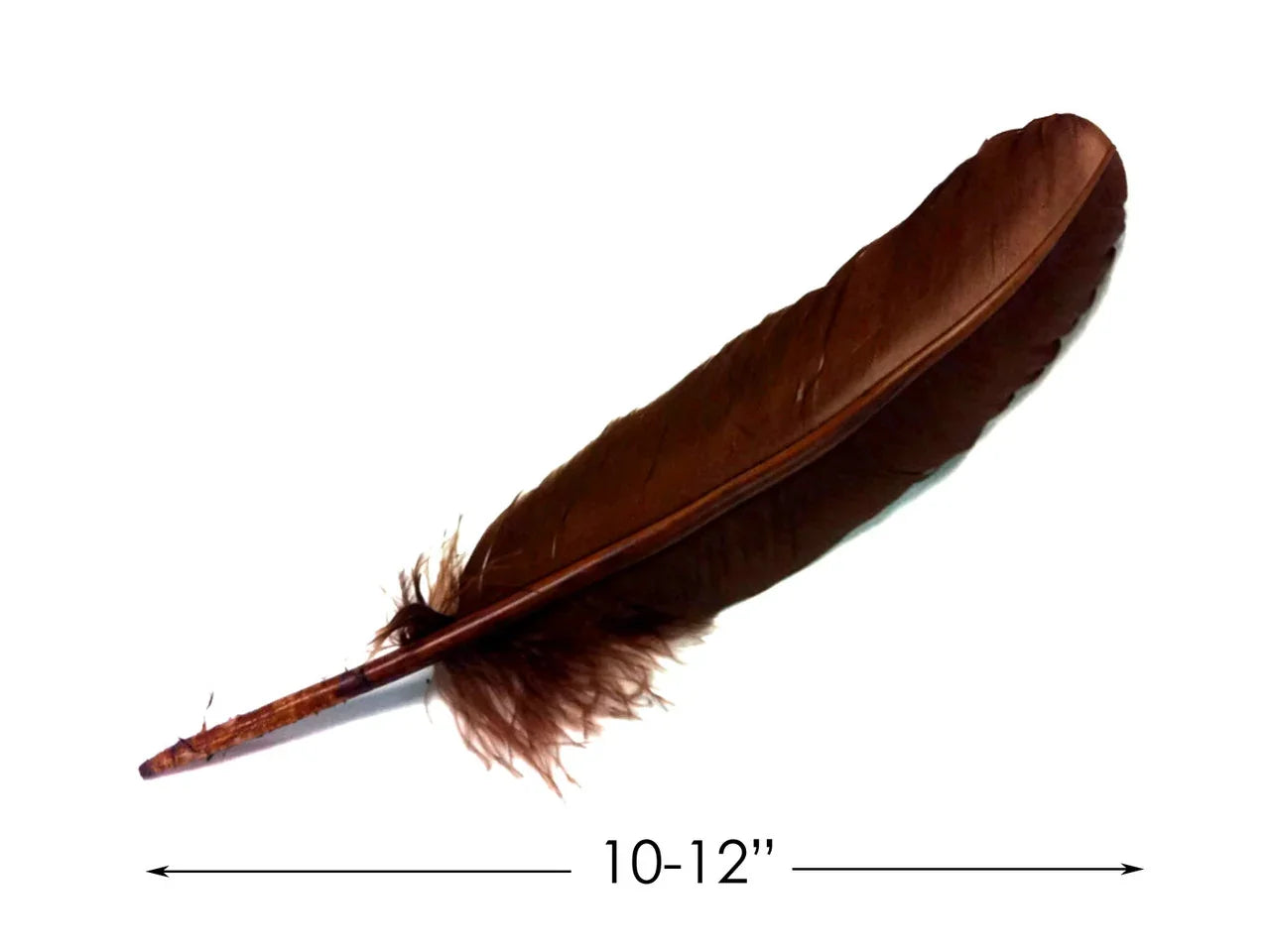 Single 10-12 inch natural brown feather for crafts and DIY fashion decor.
