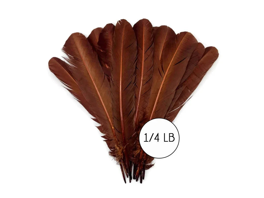 Bundle of large brown natural feathers for crafts and DIY decor, 1/4 lb pack.