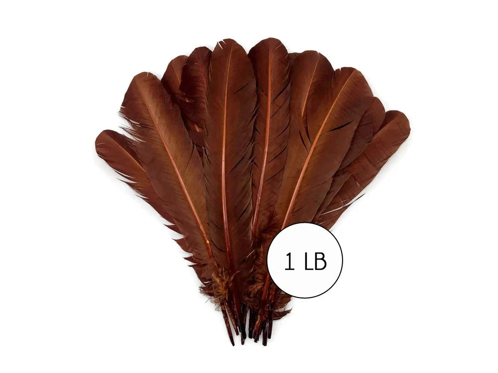 Large bundle of natural brown feathers for crafts and fashion decor, 1 lb weight.