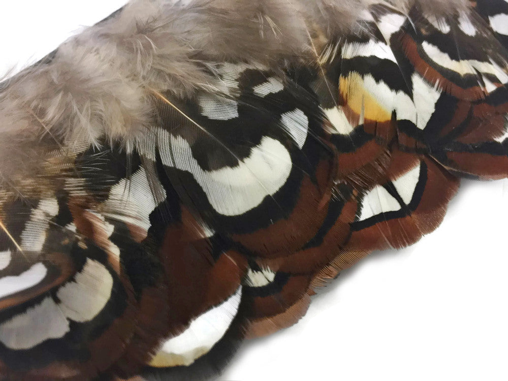 1 Yard - Natural Brown Venery Pheasant Plumage Feather Trim