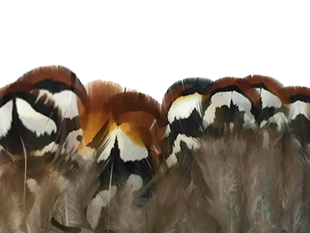 1 Yard - Natural Brown Venery Pheasant Plumage Feather Trim