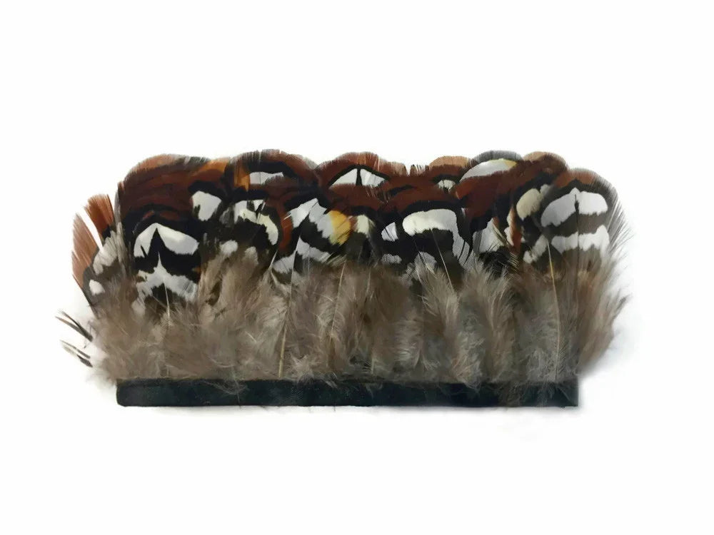 Natural brown and white patterned feathers for DIY crafts and fashion decor.