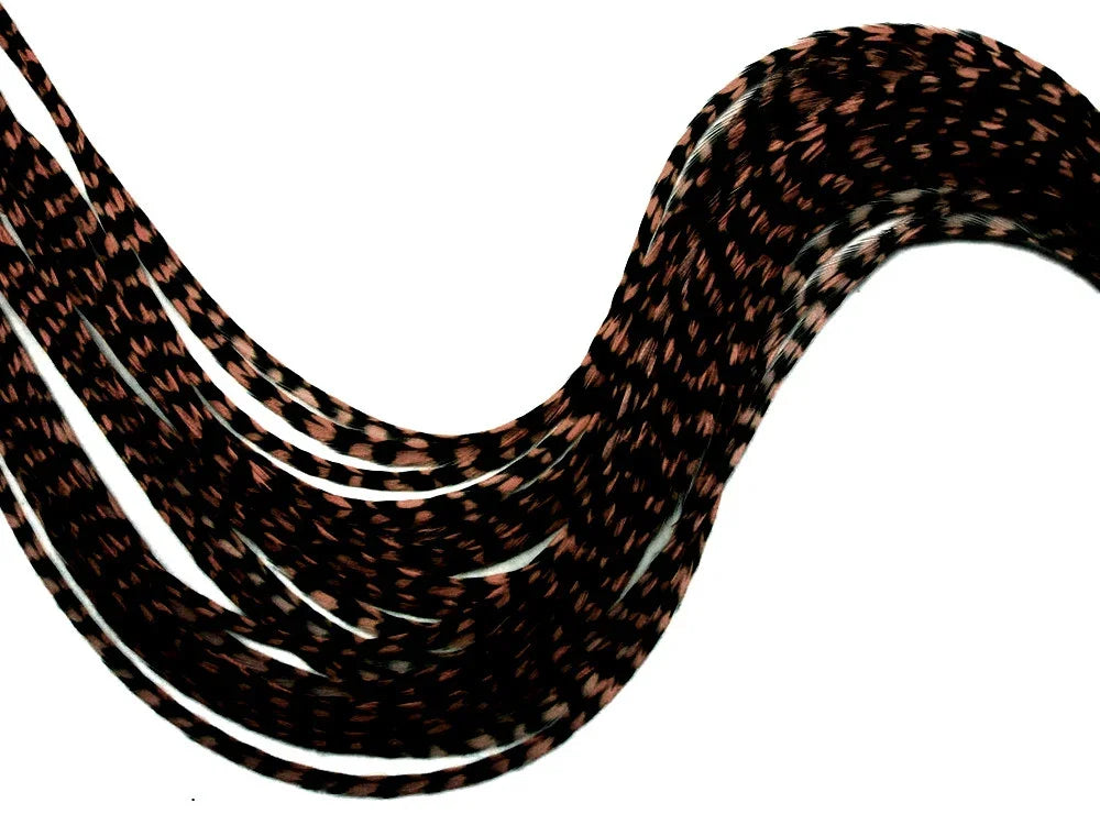 Brown and black speckled decorative feathers for crafts and fashion accessories.